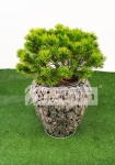 Donica Gabionowa MILO "S" - 38 x 42 cm