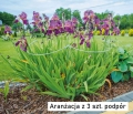 podpora kwiatowa z oczkiem aranżacja 3szt.