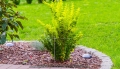 2383-podpora-do-roslin-kolo-max1.jpg