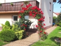 Pergola metalowa ogrodowa - model z grotem aranżacja.jpg