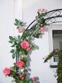 Pergola metalowa ogrodowa - szczegóły.jpg