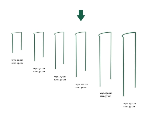 Podpora Kwiatowa 100x40 - 2662.jpg