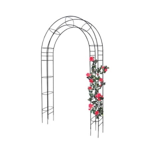 Pergola z elipsą