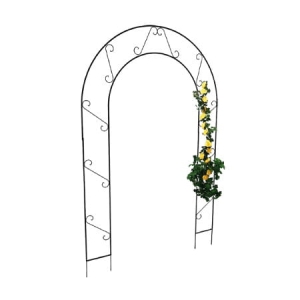 Łuk ornament