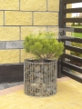 donica gabionowa AMBER_ELGARDEN a7.JPG