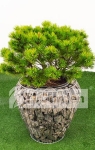 Donica Gabionowa MILO "M" - 45 x 47 cm
