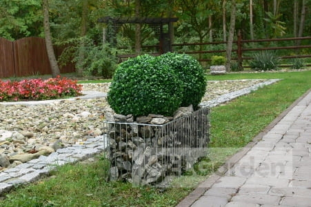 Donica gabionowa EMERALD BASIC_S_ELGARDEN aranż_1.JPG